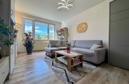 Väčší 2 izbový byt v Brezne na predaj Väčší 2 izbový byt v Brezne na predaj